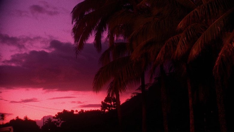 кадр из фильма Filmoteca de Catalunya 10 anys al Raval