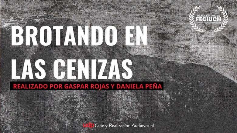 кадр из фильма Brotando en las cenizas