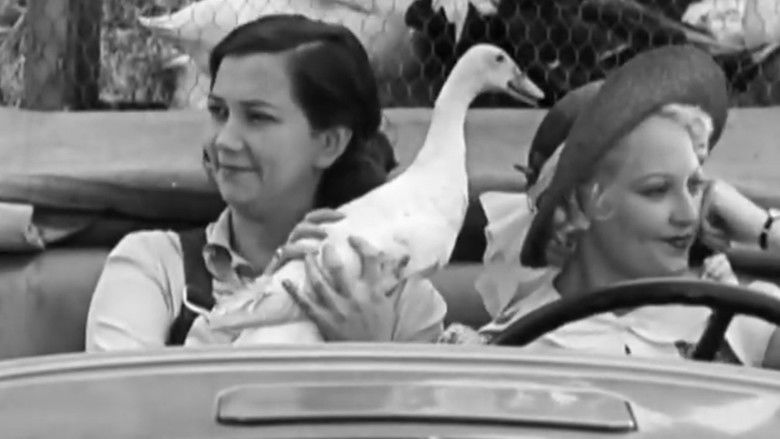 кадр из фильма One-Horse Farmers