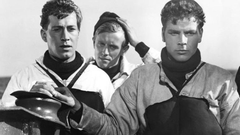 кадр из фильма Акулы и мелкие рыбешки