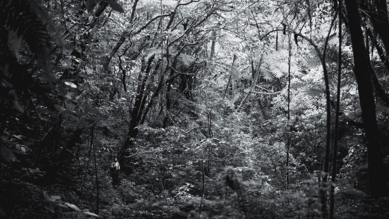 кадр из фильма La reserva