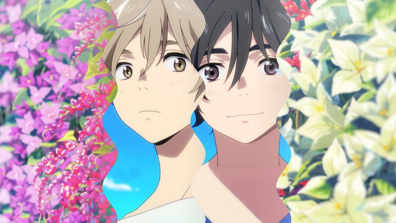 кадр из фильма 海辺のエトランゼ