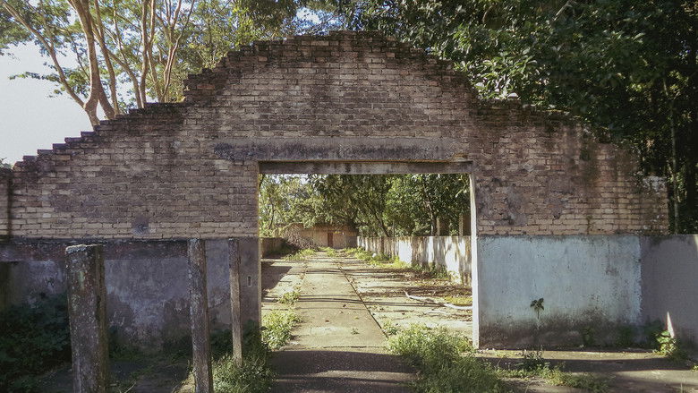 кадр из фильма o céu diante dos meus olhos nunca é cinza