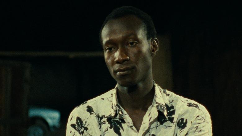 кадр из фильма Laafi - Tout va bien