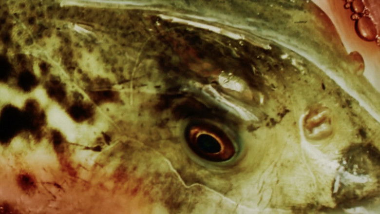 кадр из фильма Godspeed