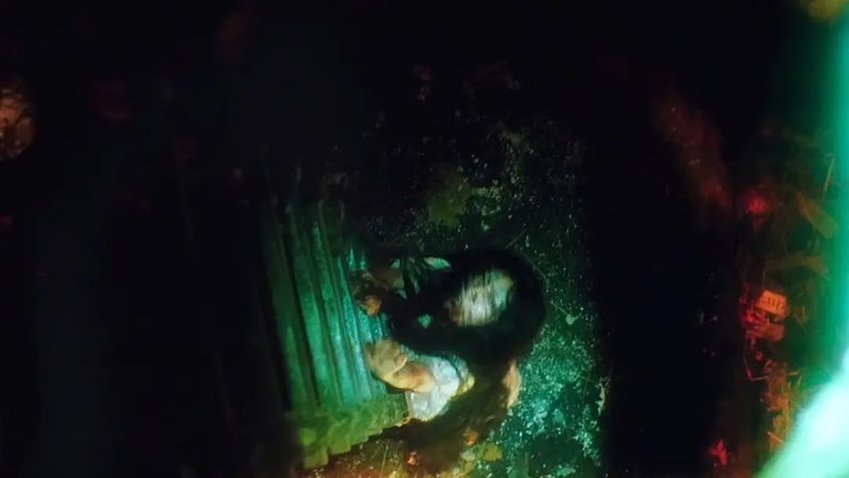 кадр из фильма 牛首村