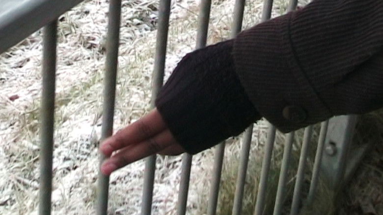 кадр из фильма Aquariums