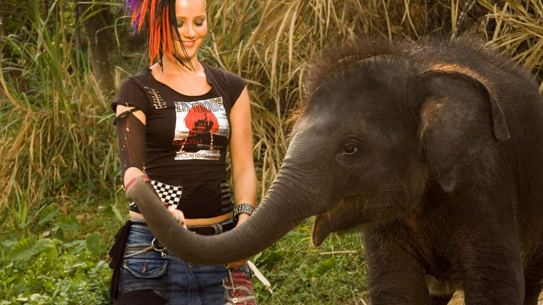 кадр из фильма Zoop In India