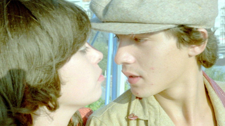 кадр из фильма Да здравствует медовый месяц!