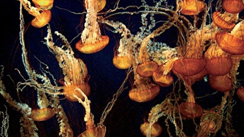 кадр из фильма Голубая бездна