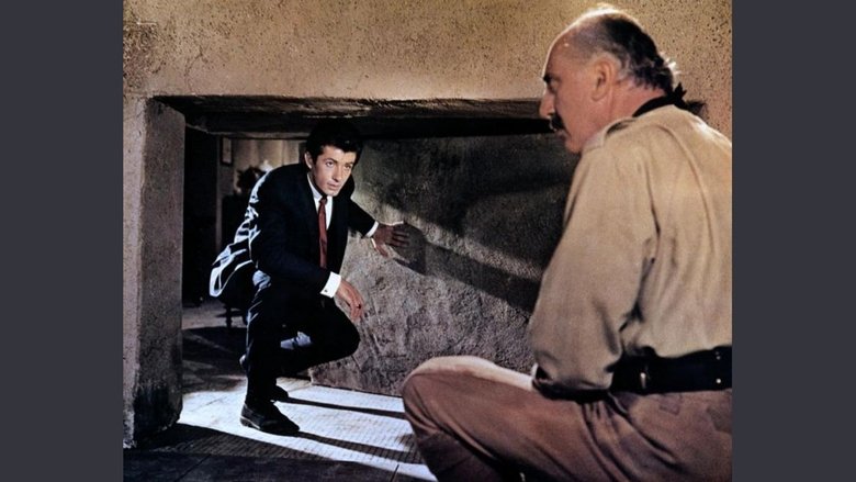 кадр из фильма The High Bright Sun