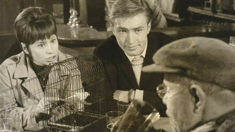 кадр из фильма A Place to Go