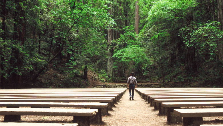 кадр из фильма Секвойи вечнозелены