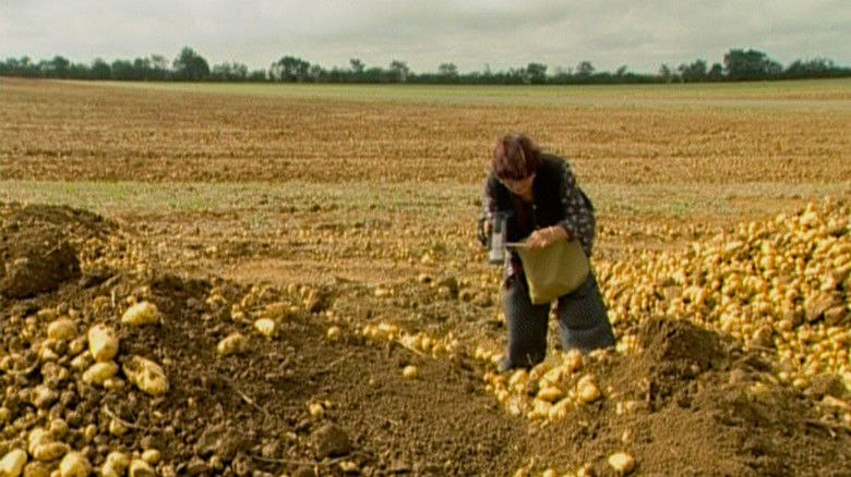 кадр из фильма Собиратели и собирательница