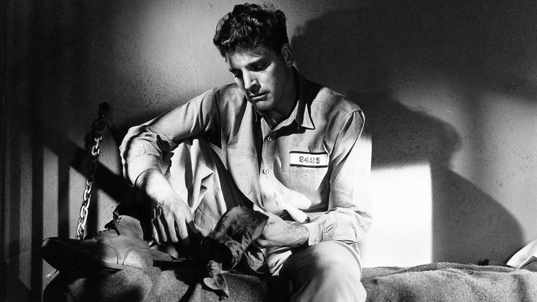 кадр из фильма Убийцы