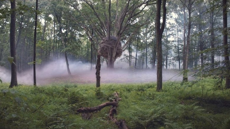 кадр из фильма Love Is Blind