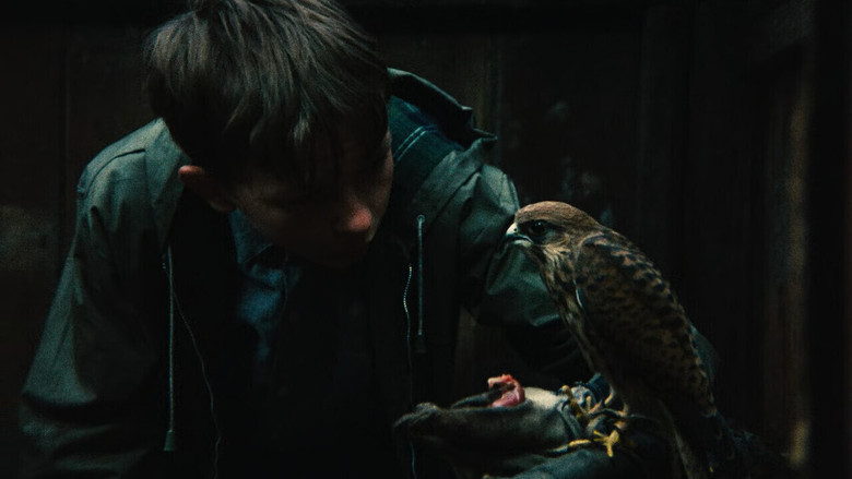 кадр из фильма Кес