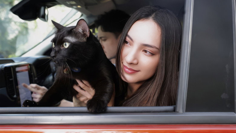 кадр из фильма กาฬวิฬาร์ อาถรรพ์ปีศาจแมวดำ