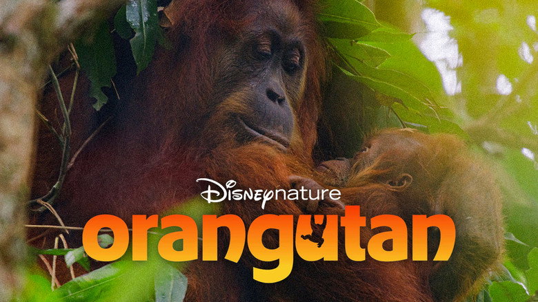 кадр из фильма Orangutan