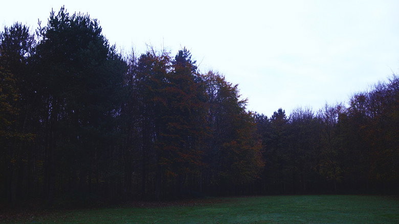 кадр из фильма La Voie