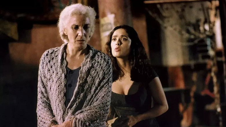 кадр из фильма Полковнику никто не пишет