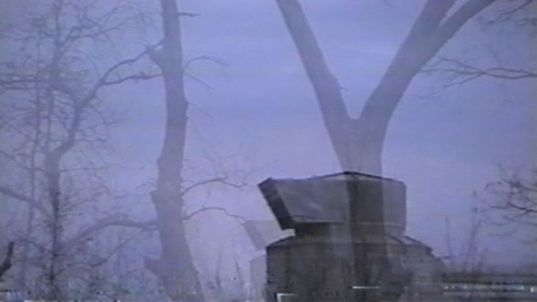 кадр из фильма Concrete Angel