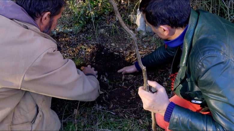 кадр из фильма Truffel liefde