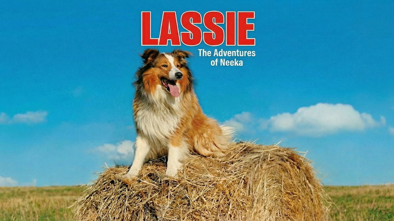 кадр из фильма Lassie: The Adventures of Neeka