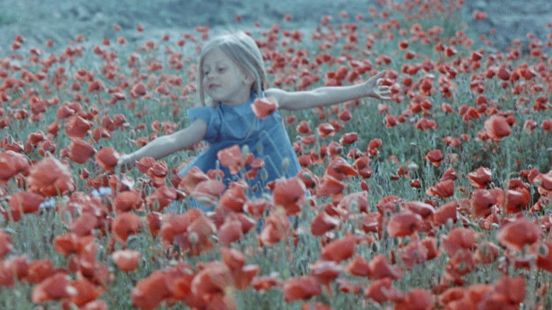 кадр из фильма Цветные сны