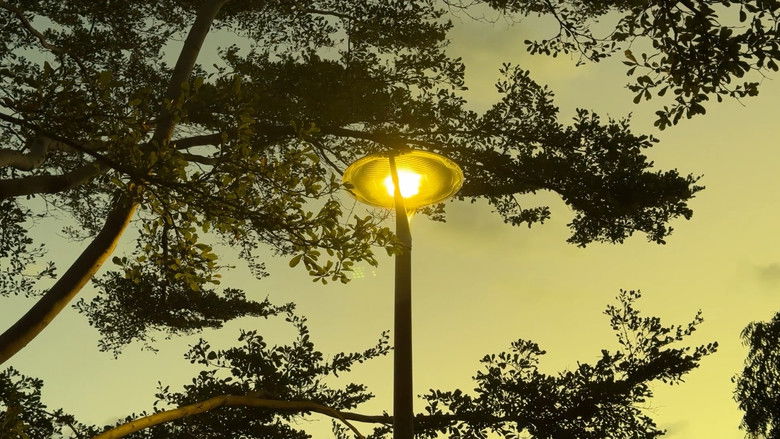 кадр из фильма A-Lone Men