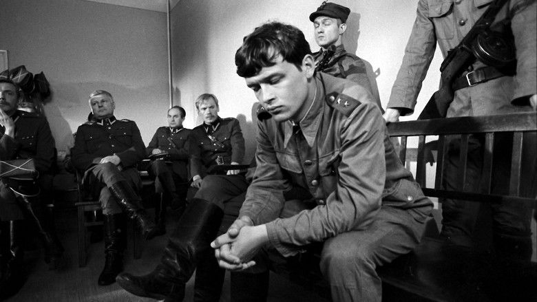 кадр из фильма Wierne blizny