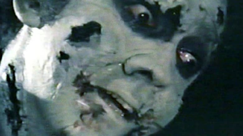 кадр из фильма Night of the Zombies