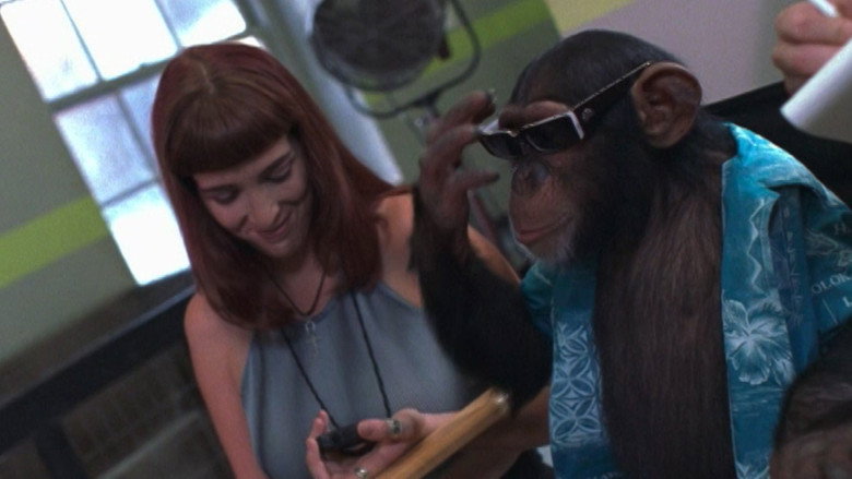 кадр из фильма Monkey Business