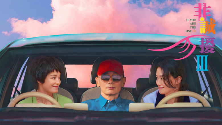 кадр из фильма 非诚勿扰 3