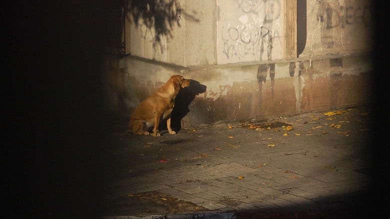 кадр из фильма Ni siquiera las flores