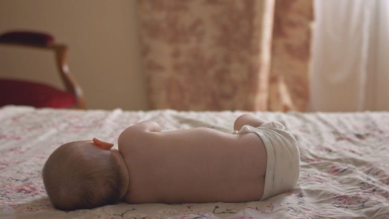 кадр из фильма Le rêve des cigognes