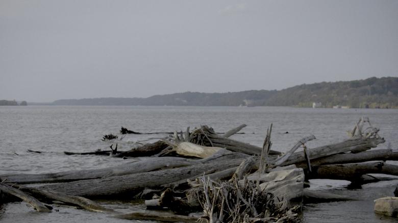 кадр из фильма Smallpox Island