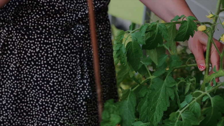кадр из фильма Les herbes