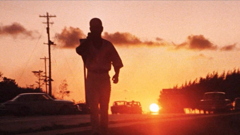 кадр из фильма 網走番外地 南国の対決