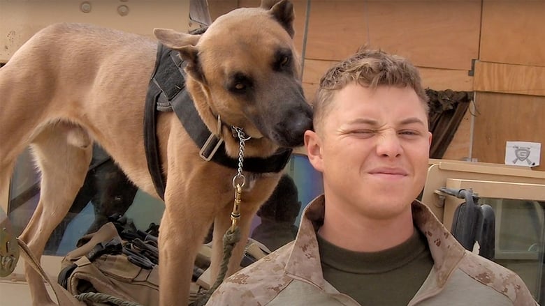 кадр из фильма Always Faithful