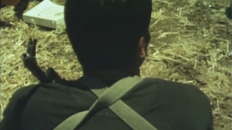 кадр из фильма 赤軍-PFLP 世界戦争宣言