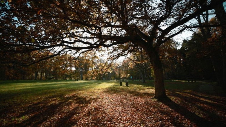 кадр из фильма Последнее фото