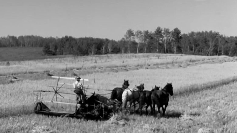 кадр из фильма Cornet at Night