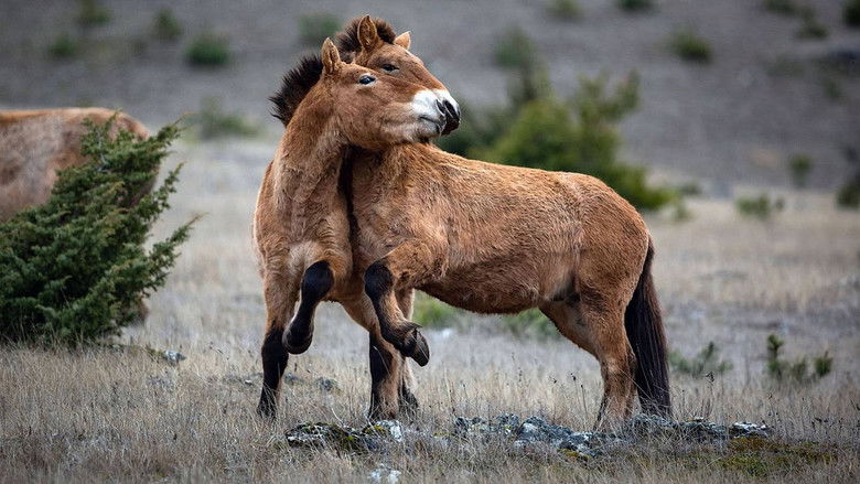 кадр из фильма Vivant parmi les vivants