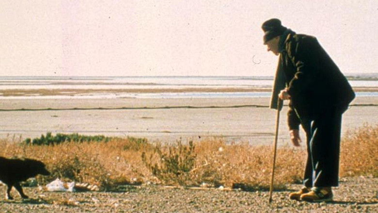 кадр из фильма Historias mínimas