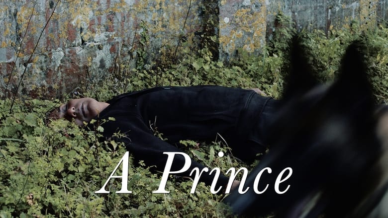 кадр из фильма Un prince