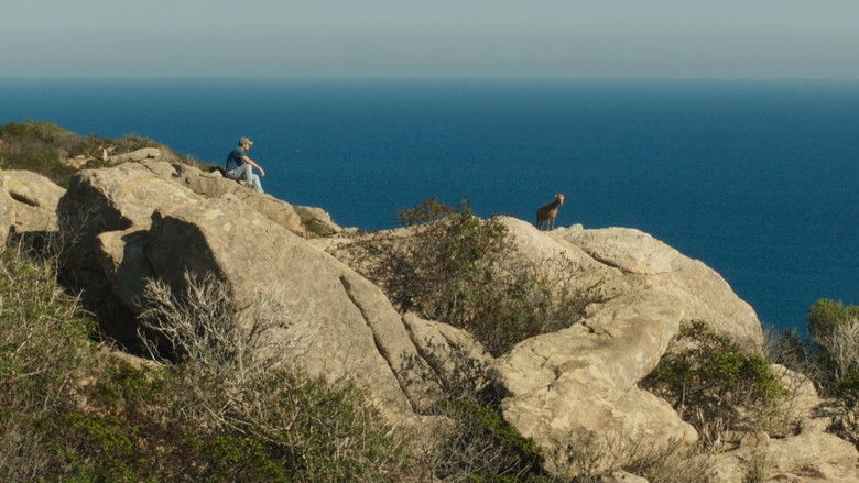 кадр из фильма Le Mohican