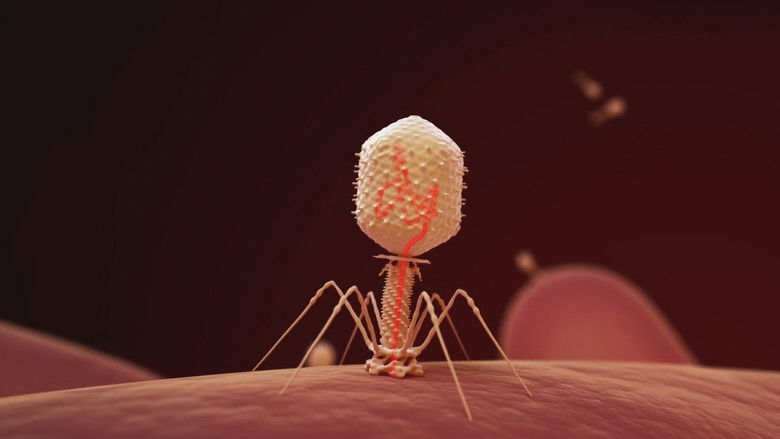 кадр из фильма The Virus Within Us