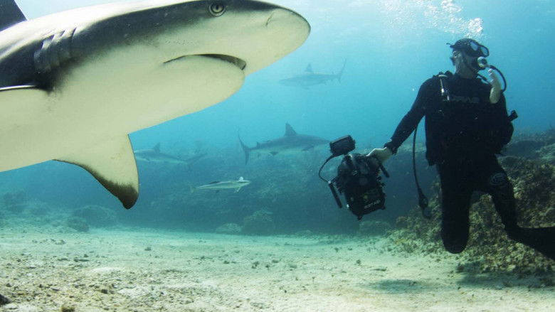 кадр из фильма World's Deadliest Whale