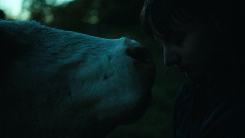 кадр из фильма The Human Hibernation